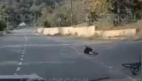 В Сочи собака сбила велосипедиста
